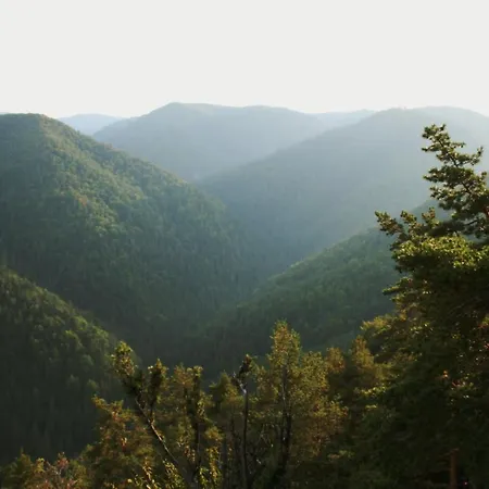 Cakyho Kuria - Pre 5 Osob S Krbom A Saunami Apartmán *