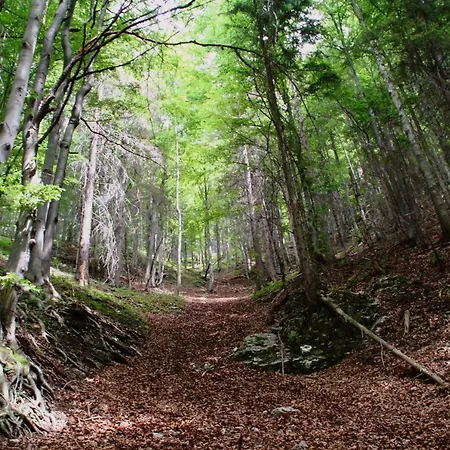 Cakyho Kuria - Pre 5 Osob S Krbom A Saunami Apartmán *