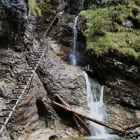 Apartment Cakyho Kuria - Pre 5 Osob S Krbom A Saunami *