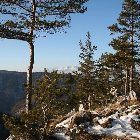 Cakyho Kuria - Pre 5 Osob S Krbom A Saunami * Smižany