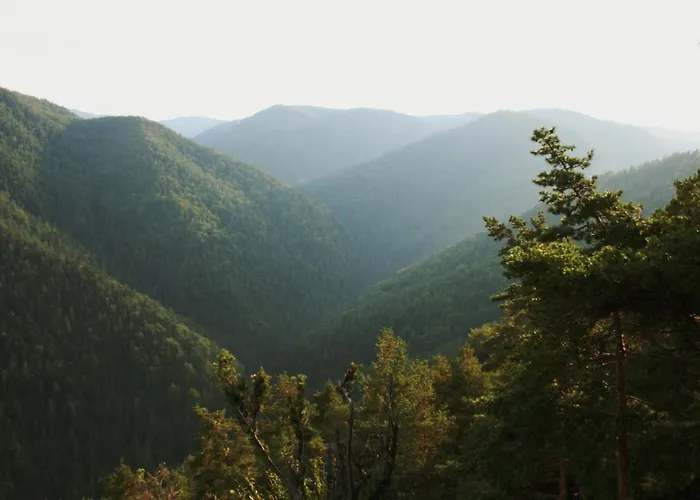 Cakyho Kuria - Pre 5 Osob S Krbom A Saunami Lejlighed *