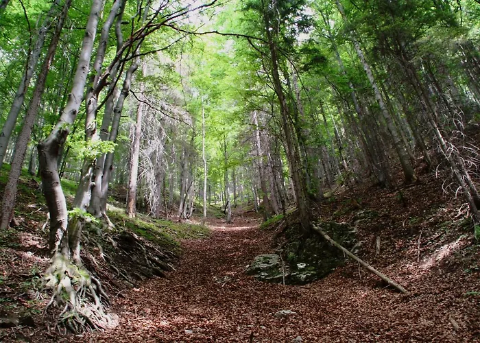 Cakyho Kuria - Pre 5 Osob S Krbom A Saunami Lejlighed *