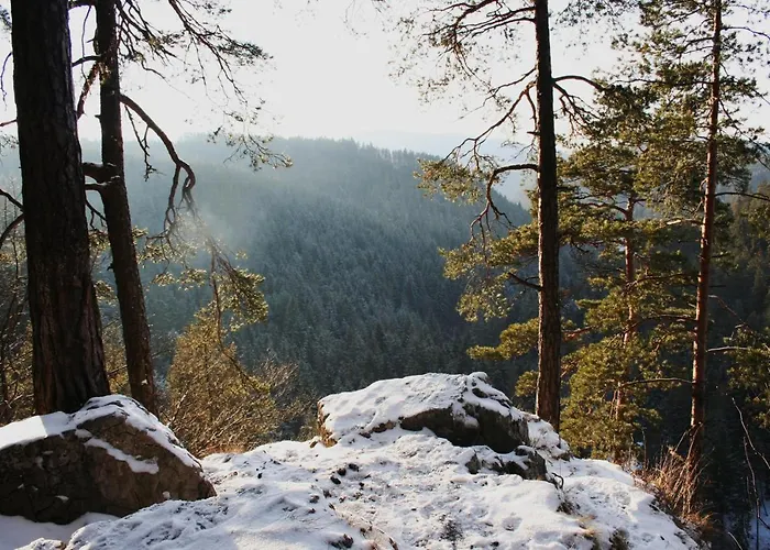 Cakyho Kuria - Pre 5 Osob S Krbom A Saunami Smižany