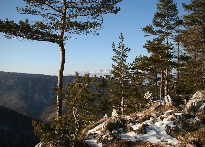 Cakyho Kuria - Pre 5 Osob S Krbom A Saunami * Smižany